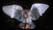 click for a bigger pic
